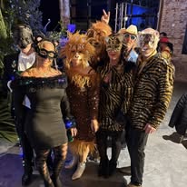 Lions Tigers Wolves Bears